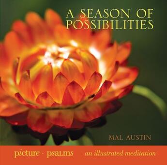 Couverture du livre « A Season of Possibilities » de Austin Mal aux éditions Howard Books