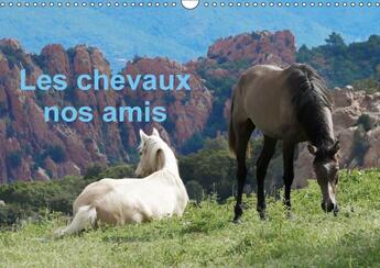 Couverture du livre « Les chevaux nos amis calendrier mural 2018 din a3 horizontal - une serie de photos de nos ami » de Lack P aux éditions Calvendo