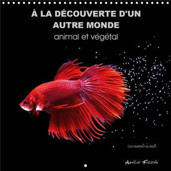 Couverture du livre « A la decouverte d un autre monde animal et vegetal calendrier mural 2020 300 300 - un univers graphi (édition 2020) » de Aurelie Fieschi aux éditions Calvendo