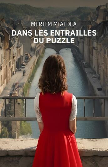 Couverture du livre « Dans les entrailles du puzzle » de Meriem Mialdea aux éditions Librinova