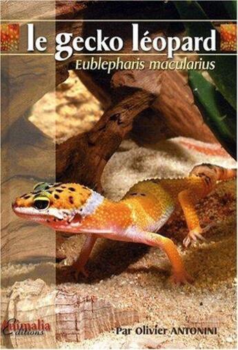 Couverture du livre « Le gecko léopard - eublepharis macularius » de Olivier Antonini aux éditions Animalia