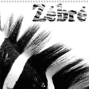 Couverture du livre « Zebre calendrier mural 2018 300 300 mm square - les zebres et leur pelage cale » de Photography Jes aux éditions Calvendo