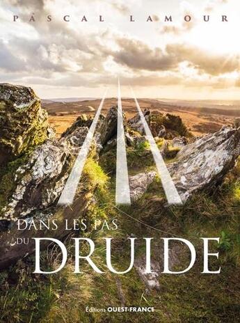 Couverture du livre « Dans les pas du druide » de Pascal Lamour et Pascale Desagnat aux éditions Ouest France