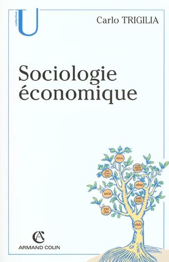 Couverture du livre « Sociologie économique - État, marché et société dans le capitalisme moderne : État, marché et société dans le capitalisme moderne » de Carlo Trigilia aux éditions Armand Colin