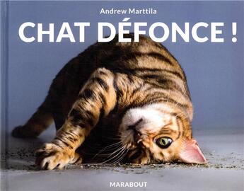 Couverture du livre « Chat défoncé » de  aux éditions Marabout