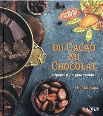 Couverture du livre « Du cacao au chocolat : l'épopée d'une gourmandise (3e édition) » de Michel Barel aux éditions Quae