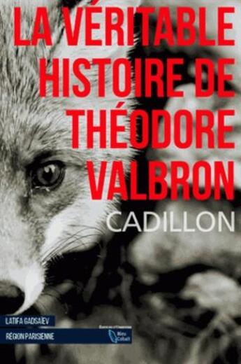 Couverture du livre « La véritable histoire de Théodore Valbron » de Bruno Cadillon aux éditions D'orbestier