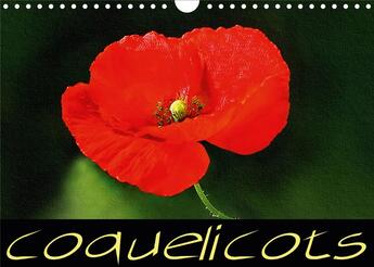 Couverture du livre « Coquelicots calendrier mural 2020 din a4 horizontal - serie de tableaux de fleurs de » de Sudpastel K.A. aux éditions Calvendo