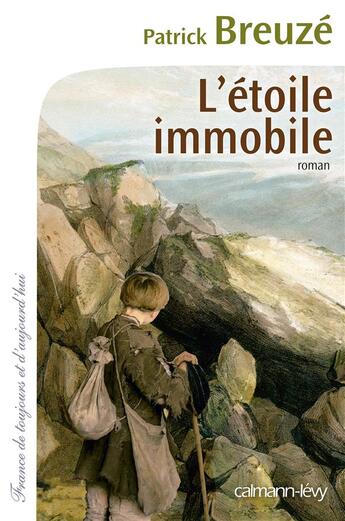 Couverture du livre « L'étoile immobile » de Patrick Breuze aux éditions Calmann-levy