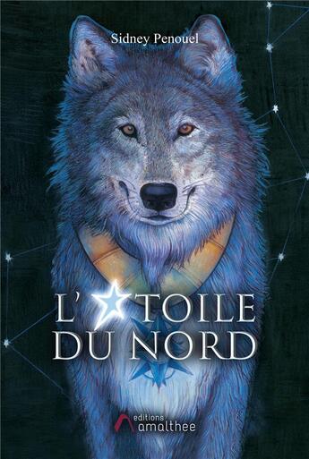 Couverture du livre « L'étoile du nord » de Sidney Penouel aux éditions Amalthee