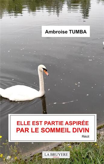 Couverture du livre « Elle est partie aspirée par le sommeil divin » de Ambroise Tumba aux éditions La Bruyere