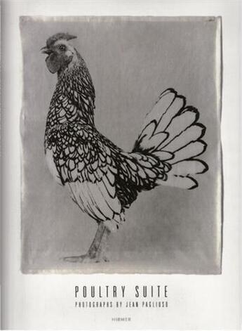 Couverture du livre « Jean pagliusio poultry suite » de Pagliuso Jean aux éditions Hirmer