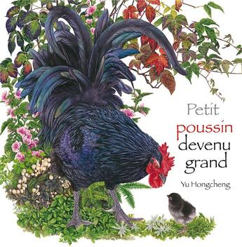 Couverture du livre « Petit poussin devenu grand » de Yu Hongcheng aux éditions Mineditions