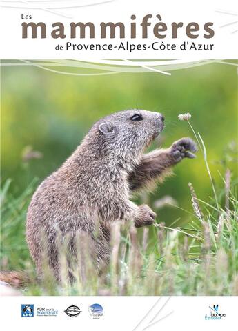 Couverture du livre « Les mammifères de Provence-Alpes-Côte d'Azur » de  aux éditions Biotope