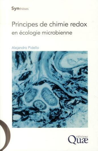 Couverture du livre « Principes de chimie redox en écologie microbienne » de Alejandro Pidello aux éditions Quae