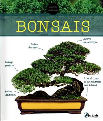 Couverture du livre « Bonsaïs » de  aux éditions Artemis