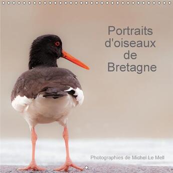 Couverture du livre « Portraits d oiseaux de bretagne calendrier mural 2018 300 30 - 12 photographies de proximite » de Le Mell M aux éditions Calvendo