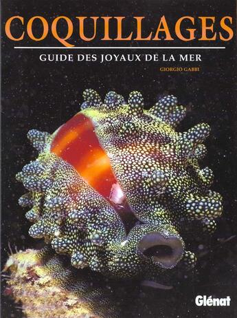 Couverture du livre « Le guide des joyaux de la mer ; les coquillages » de Giorgio Gabbi aux éditions Glenat