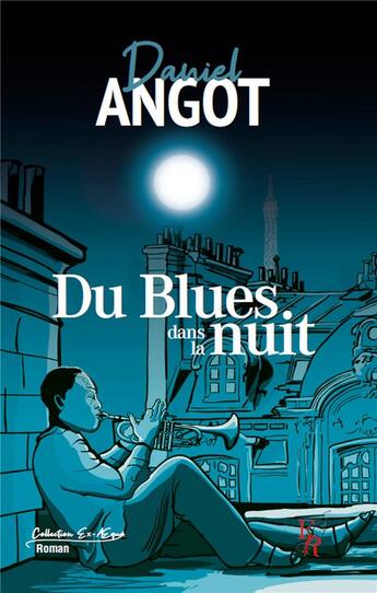 Couverture du livre « Du blues dans la nuit » de Angot D. aux éditions Editions Encre Rouge