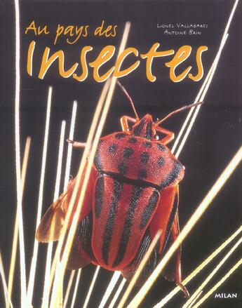 Couverture du livre « Au Pays Des Insectes » de Lionel Valladares aux éditions Milan