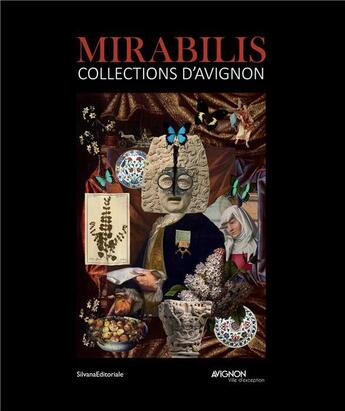 Couverture du livre « Mirabilis ; collections d'Avignon » de  aux éditions Silvana