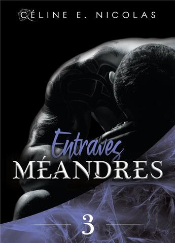 Couverture du livre « Méandres t.3 ; entraves » de Celine E. Nicolas aux éditions Bookelis