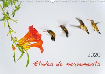 Couverture du livre « Etudes de mouvements calendrier mural 2020 din a3 horizontal - etudes de mouvements serie de » de Zeidler Thomas aux éditions Calvendo