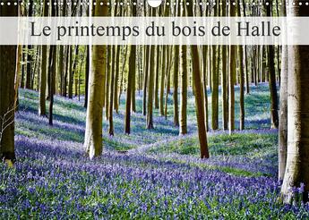 Couverture du livre « Le printemps du bois de halle calendrier mural 2020 din a3 horizontal - hallerbos la foret feerique » de Patrick Bombaer aux éditions Calvendo