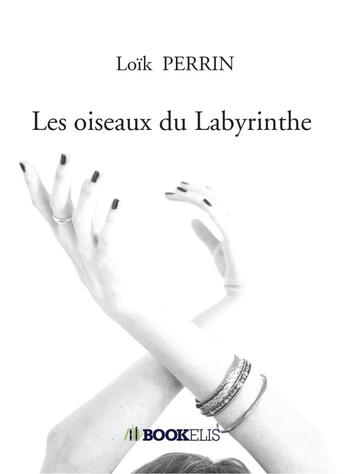 Couverture du livre « Les oiseaux du labyrinthe » de Loik Perrin aux éditions Bookelis