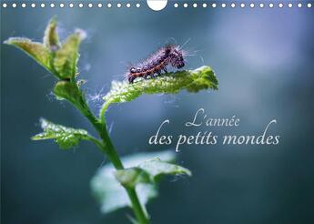 Couverture du livre « L annee des petits mondes calendrier mural 2020 din a4 horizontal - a la decouverte des insectes d » de Cecile Gans aux éditions Calvendo