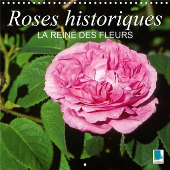 Couverture du livre « Roses historiques la reine des fleurs calendrier mural 2020 300 300 mm square - beaute senteur et un » de Calvendo K.A. aux éditions Calvendo