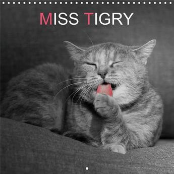 Couverture du livre « Miss tigry ou la vie d un chat » de Franck Poidevin aux éditions Calvendo