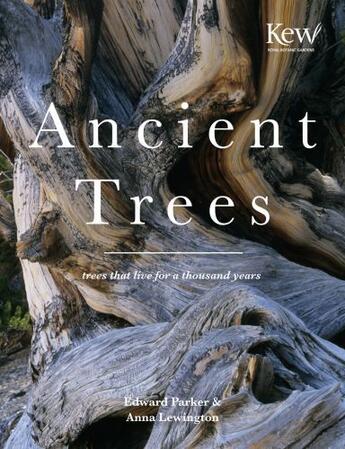 Couverture du livre « Ancient Trees » de Lewington Anna aux éditions Pavilion Books Company Limited