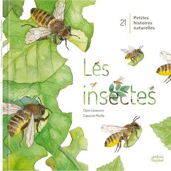 Couverture du livre « 21 petites histoires naturelles : les insectes » de Capucine Mazille et Claire Lecoeuvre aux éditions Ricochet