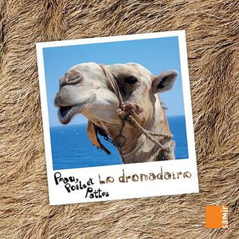 Couverture du livre « PEAU, POILS ET PATTES ; le dromadaire » de Marwan El Ahdab aux éditions Samir