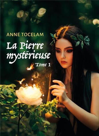 Couverture du livre « La pierre mystérieuse » de Anne Tocelam aux éditions Librinova