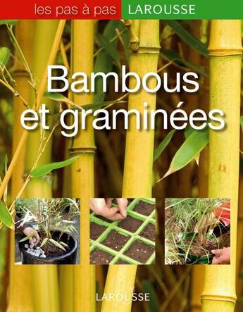 Couverture du livre « Bambous et graminées » de Jon Ardle aux éditions Larousse