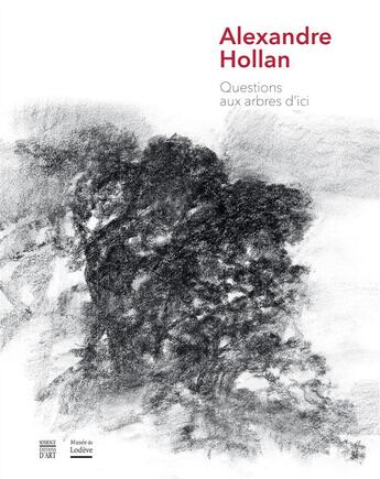 Couverture du livre « Alexandre Hollan » de  aux éditions Somogy