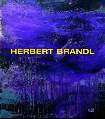 Couverture du livre « Herbert brandl /anglais/allemand » de Steininger Florian aux éditions Hatje Cantz