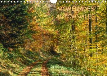 Couverture du livre « PROMENADES AUTOMNALES (Calendrier mural 2020 DIN A4 horizontal) ; Une saison à nulle autre pareille, l'automne (Calendrier mensuel, 14 Pages ) » de Patrick Kessler aux éditions Calvendo