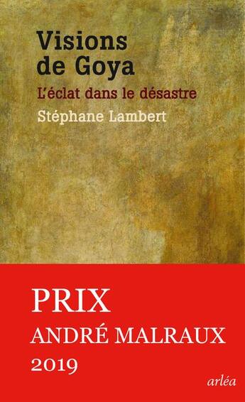 Couverture du livre « Visions de Goya ; l'éclat dans le désastre » de Stephane Lambert aux éditions Arlea