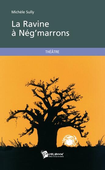 Couverture du livre « La ravine à Nég'marrons » de Michele Sully aux éditions Publibook