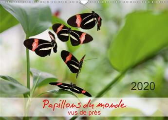 Couverture du livre « Papillons du monde vus de pres calendrier mural 2020 din a3 horizontal - portraits de douze papillon » de Zeidler Thomas aux éditions Calvendo