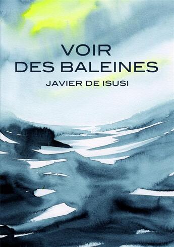 Couverture du livre « Voir des baleines » de Javier De Isusi aux éditions Rackham