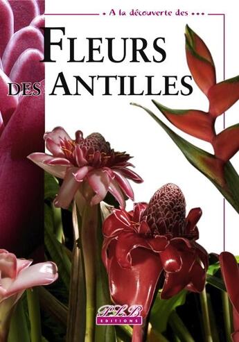 Couverture du livre « À la découverte fleurs des Antilles » de Huchet Jeanne aux éditions Plb