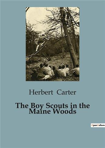 Couverture du livre « The Boy Scouts in the Maine Woods » de Herbert Carter aux éditions Culturea