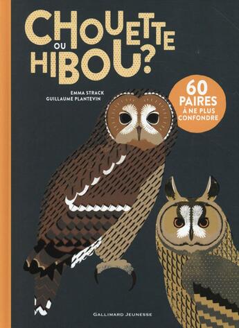 Couverture du livre « Chouette ou hibou ? » de Emma Strack et Guillaume Plantevin aux éditions Gallimard-jeunesse