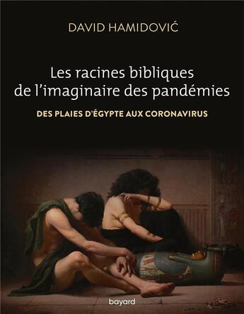 Couverture du livre « Les racines bibliques de l'imaginaire des pandémies ; des plaies d'Egypte aux coronavirus » de David Hamidovic aux éditions Bayard