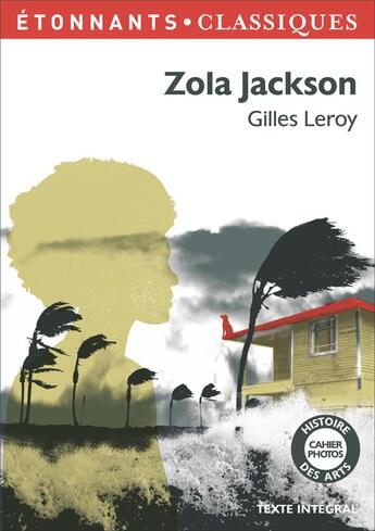 Couverture du livre « Zola Jackson » de Gilles Leroy aux éditions Flammarion