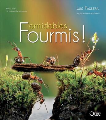 Couverture du livre « Formidables fourmis ! » de Luc Passera aux éditions Quae